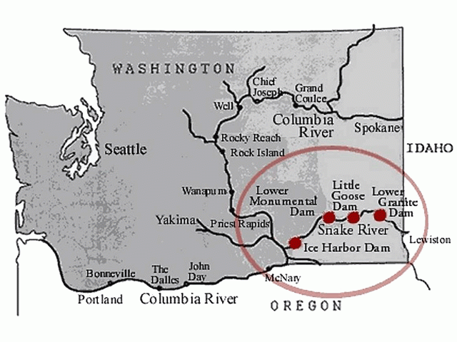 Four dams -- Lower Granite, Little Goose, Lower Monumental and Ice Harbor -- are at the center of a fight over salmon recovery in the lower Snake River basin. A study by Washington state officials said the dams should be breached, but only after their benefits such as electric power have been replaced or mitigated. The dams are also a critical artery for wheat exports in the region. (Map courtesy of the Columbia-Snake River Irrigators Association) 