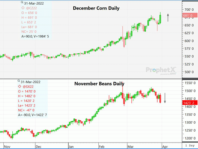 The chart above illustrates the divergence of new crop corn and soybeans following a nearly equal fall in corn and rise in soybean acreage intentions on Thursday&#039;s USDA report. The price spread had moved 77 1/2 cents per bushel at the close, in favor of corn. (DTN graphic)