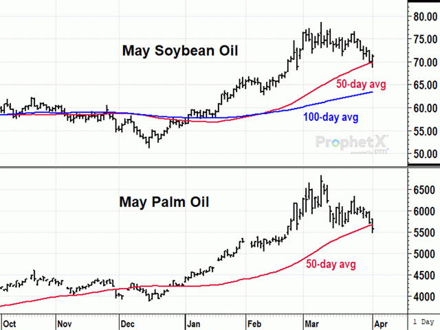 Most grain prices closed lower in the week ended Friday, April 1, but May soybean oil found important support from the 50-day average and Thursday&#039;s bullish report from the energy department. Palm oil prices, on the other hand, broke important support. (DTN ProphetX chart by Todd Hultman) 