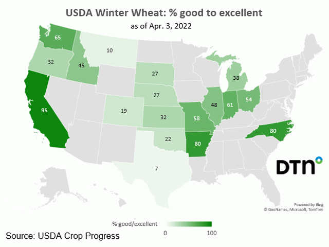 For the week ended April 3, 2022, U.S. winter wheat was rated just 30% in good-to-excellent condition, down 23 percentage points from 53% at the same time last year, according to USDA NASS&#039; first national Crop Progress report of 2022. (DTN graphic)