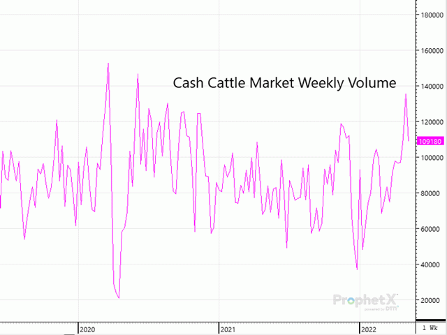 Three consecutive weeks where the cash cattle market sees more than 100,000 head traded each week is nearly unheard of in today&#039;s market. (DTN ProphetX chart by ShayLe Stewart)