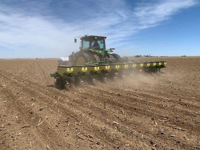 Planters were flying at Arnusch Farms this week as they planted silage corn ahead of a potential snowstorm. (Photo courtesy of Marc Arnusch)