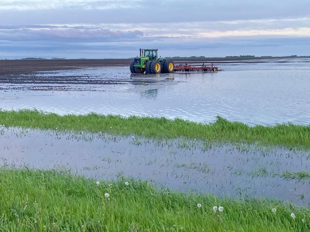 Planting season has been a slog in parts of the northern Midwest, such as in this North Dakota field where ponding has sidelined operations. (Photo courtesy of Allen Yaggie)