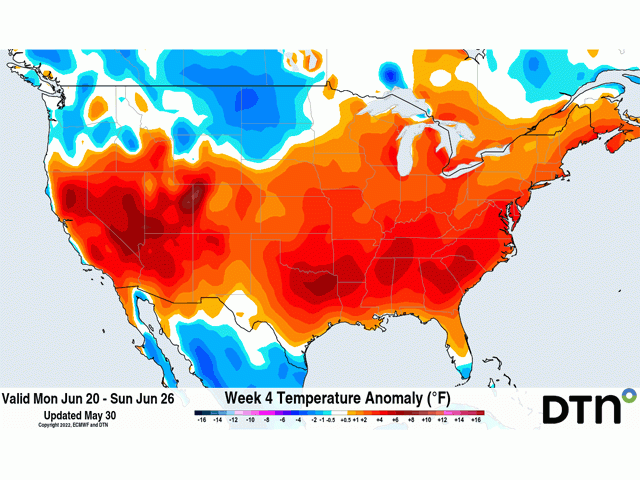 The European Centre for Medium Range Weather Forecasting (ECMWF) model indicates that a ridge of high pressure will bring above-normal temperatures across the Southern U.S. and potentially across the East as well, but not until the last week of June. Lower temperatures in the Northwest and into the Canadian Prairies and Northern Plains could mean the active weather continues through the rest of the month. (DTN graphic)
