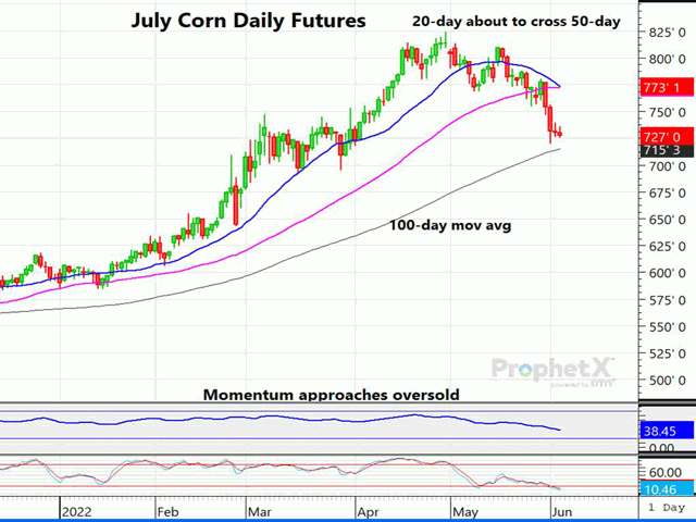 The chart above is a daily chart of July corn futures, which have been beaten down both last week and for the entire month of May. (DTN ProphetX chart by Dana Mantini)