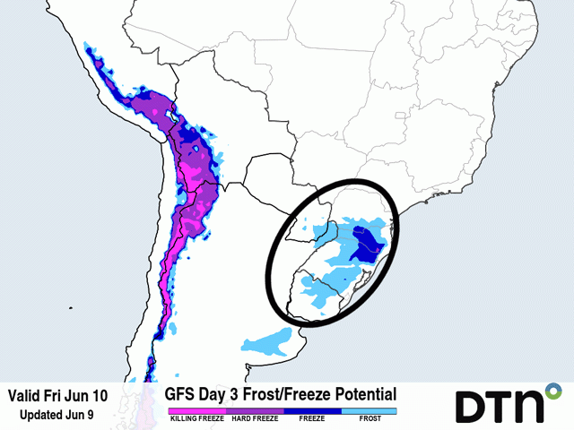 Frost potential depicted by the American Global Forecast System (GFS) model for June 10 extends through the weekend. Frost potential likely covers a larger area than the GFS is painting here, circled in black. (DTN graphic)