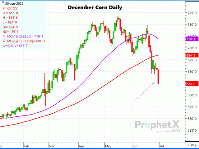 Following the release of USDA&#039;s June 2022 Stocks and Acreage reports, new-crop December corn sold off sharply on higher acreage. This is the daily chart of December corn shortly after the report release. Losses grew greater by the close. (DTN ProphetX chart by Dana Mantini)