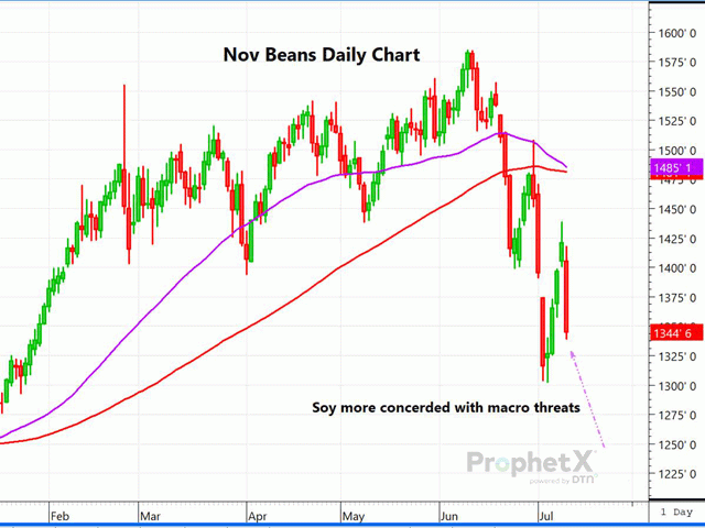 The daily chart of new-crop November soybean futures shows the price plunge on Tuesday following the USDA reports release that, compared to trade expectations, should have been mostly neutral to soybeans and wheat. Obviously, the soy market was more concerned about potential demand issues from outside economic forces and fell hard. (DTN ProphetX chart by Dana Mantini)