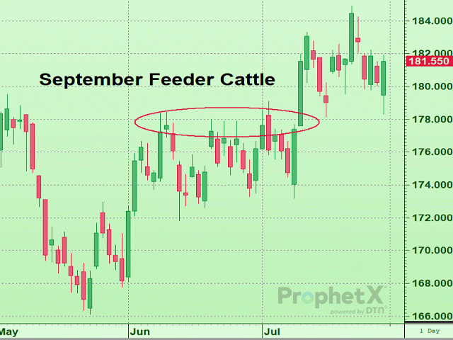 A major support candidate has surfaced in feeder cattle around the June and early July highs, which need to hold on any correction. (DTN ProphetX chart by Tregg Cronin)