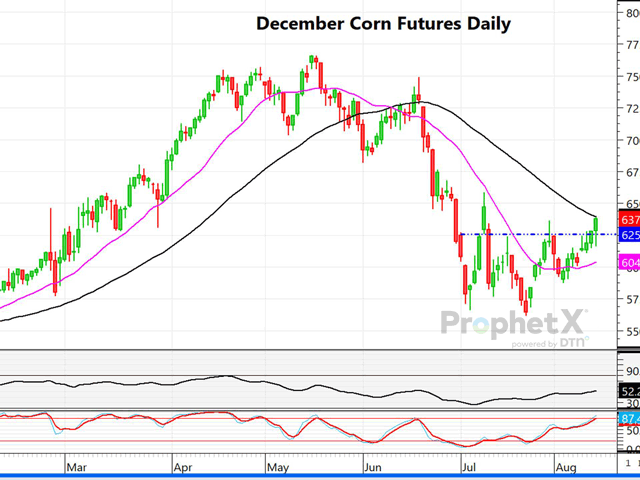 This daily chart of December corn futures shows a potential breakout of a six-week trading range, with Friday&#039;s close above $6.25 (6.42 1/4). That should be a positive sign for corn futures following an uneventful August WASDE report. (DTN ProphetX chart)