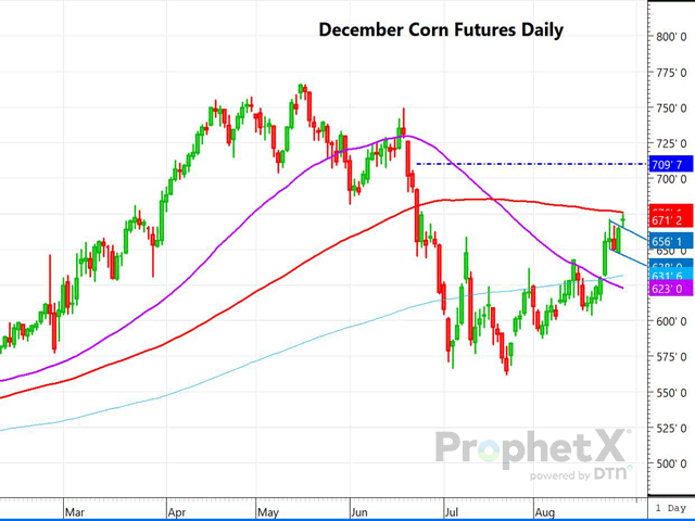 The chart above is a daily chart of December corn, which shows Monday's gap higher opening, and the breakout from what appears to be a bull flag chart pattern. (DTN ProphetX chart by Dana Mantini)