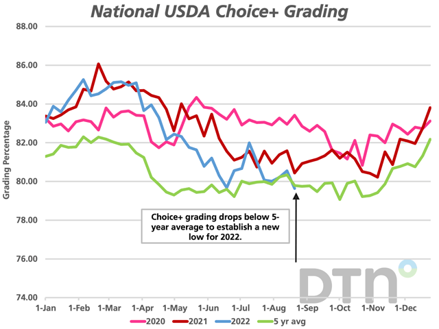 Given the aggressive throughput the industry has seen this year, it should come as no surprise that cattle are being pulled ahead of schedule to meet processing needs, which therefore leads to fewer days on feed, lighter marbling, and fewer cattle grading choice or better. (DTN graphic by ShayLe Stewart)