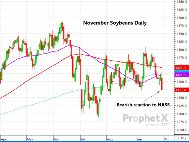 This chart shows the bearish trade reaction to higher bean production and stocks numbers on the September NASS Quarterly Stocks report. The combination of Friday&#039;s rising stocks situation when coupled with sagging soy demand may have changed the trend on November beans. (DTN ProphetX chart by Dana Mantini)