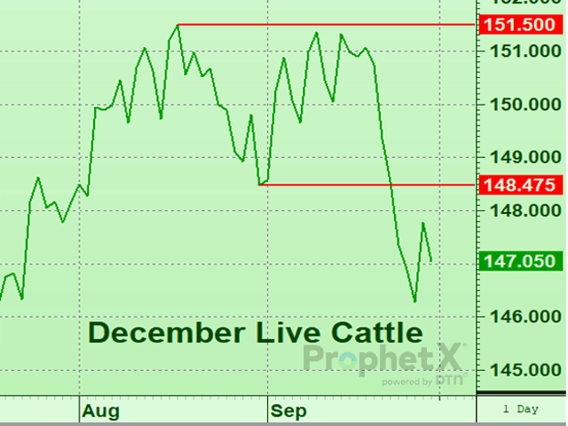The daily-close only chart shows the two key levels in the live cattle market with the August lows at $148.475 needing to be overtaken to turn tides. (DTN ProphetX chart by Tregg Cronin)