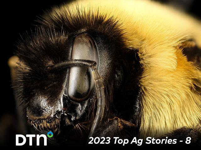 Ever come face-to-face with a rusty patched bumblebee on your farm? Even if you haven&#039;t, the EPA&#039;s proposed Herbicide Strategy may require you to take steps to protect it and other endangered species. (Photo courtesy of USGS Bee Inventory and Monitoring Lab)