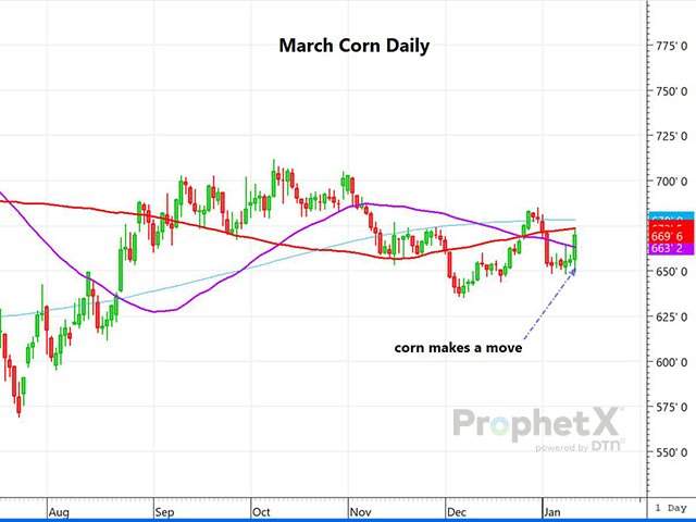 This chart shows March 2023 corn futures rallying to a 15-cent gain by the closing bell Thursday, and just below the 100-day moving average, as stocks and production were lower than expected. (DTN ProphetX chart)
