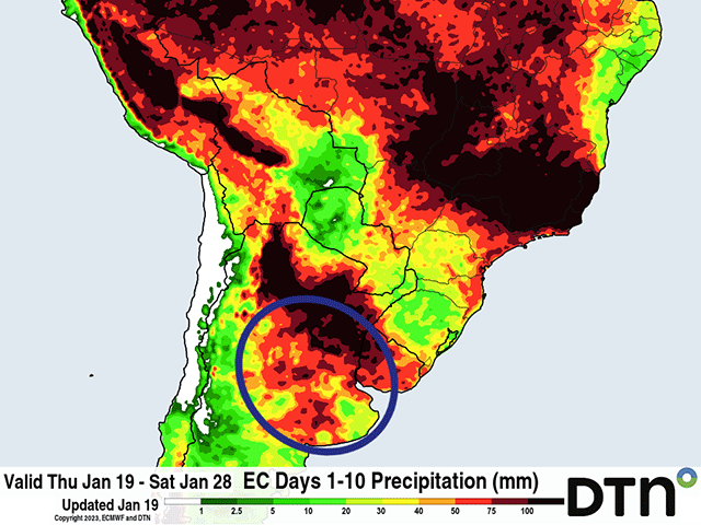 Forecast rainfall from the European Centre for Medium-Range Weather Forecasting (ECMWF) model indicates 50-100 millimeters (roughly 2-4 inches) across Argentina's primary growing region (circled in blue) during the next 10 days. (DTN graphic)
