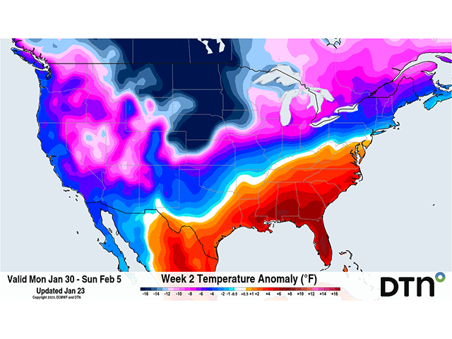 Low temperatures are set to return to North America this weekend. While this graphic only displays a week's worth of cold impact, the event should last into the following week while waffling in-and-out of southeastern areas of the country. (DTN graphic)