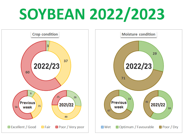Crop conditions for soybeans have dropped to match the worst of the season so far. (Buenos Aires Grain Exchange graphic)