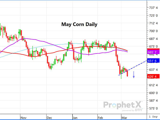 This is a daily chart of May corn, which reacted negatively to the drop in exports and rise in ending stocks despite the 7-million-metric-ton (276-million-bushel) cut in Argentine corn production. May corn may have begun a new leg down, but the downside should be limited. (DTN ProphetX chart by Dana Mantini)