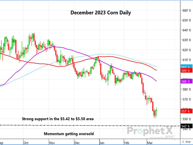 The chart above is a daily chart of December 2023 corn futures, showing what should be a formidable support area in the $5.42 to $5.50 range. (DTN ProphetX chart by Dana Mantini)