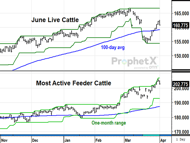 On March 15, 2023, the uptrend in June live cattle prices was interrupted by noncommercial selling related to news of U.S. bank failures, while spot feeder cattle prices stayed true to their uptrend. Both finished strong in March, but the bullish performance of feeder cattle relative to live cattle is historically interesting at a time when live cattle supplies are tight. (DTN ProphetX chart)