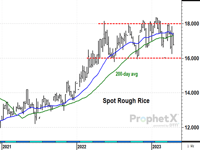 Internet articles have recently been touting rice as set to have the biggest shortage in 20 years. That&#039;s not quite accurate and there is more we need to know before jumping to bullish conclusions. (DTN ProphetX chart by Todd Hultman)
