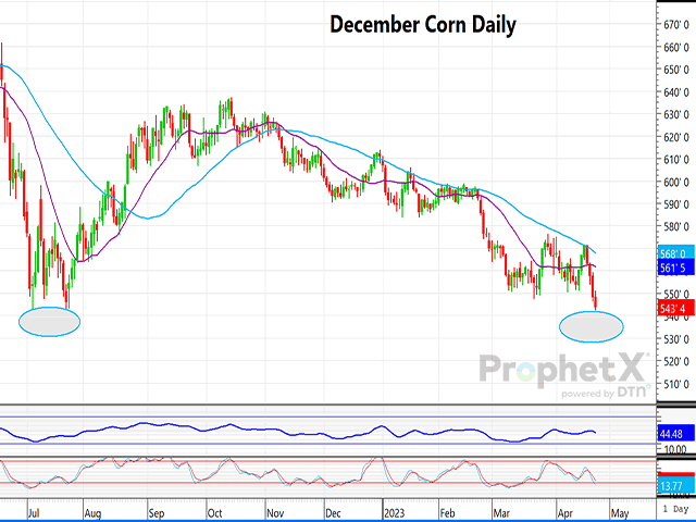 The chart above is a daily chart of December 2023 corn, showing an area of support just below the Sunday low. (DTN ProphetX chart)