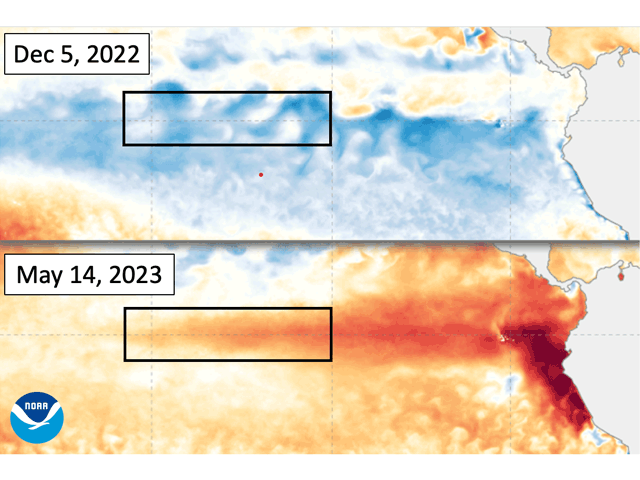 During the past five months, central Pacific Ocean equatorial temperatures have changed from cool (La Nina) to warm (El Nino). A new study finds that El Nino can have significant long-lasting costs. (NOAA graphic)