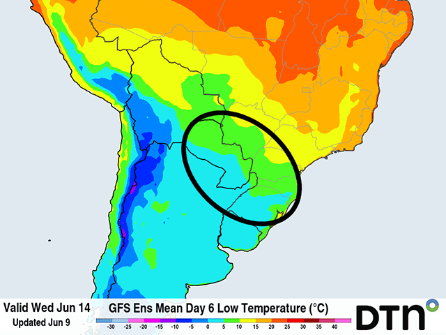 The forecast from the American GFS model shows low temperatures down into the single digits Celsius (upper 30s to middle 40s Fahrenheit) in southern safrinha corn areas for June 14 (circled), though that forecast could trend downward. Similar conditions are noted in the model on June 13 and 15 as well. (DTN graphic)
