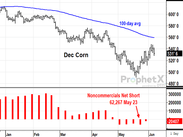 The December corn futures contract has rallied around 40 cents since establishing a new low last month. Most of that rally is due to traders covering short positions. (DTN ProphetX chart by Todd Hultman)