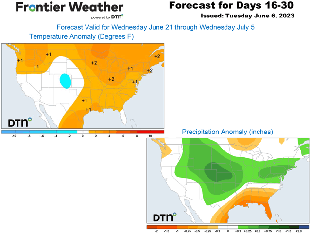 The rainfall pattern is starting to become more active across more of the country. The DTN forecast from June 21-July 5 is forecasting above-normal precipitation, coming after another week of active weather next week. The details in the forecast need to be worked out, however. Temperatures are forecast to trend more above normal than below over the same timeframe. (DTN graphics)
