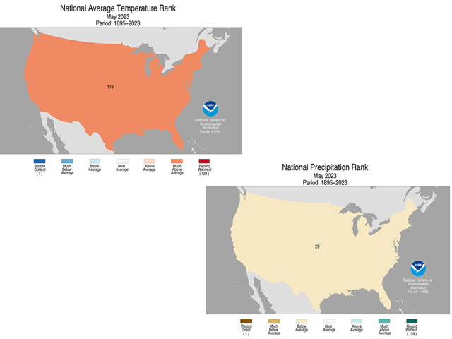 The month of May 2023 was the 11th warmest on record in the contiguous U.S., with precipitation ranking in the driest one-third of the historical record. The warm and dry trend dominated conditions in the top 5 corn producing states as well. (NOAA graphics)