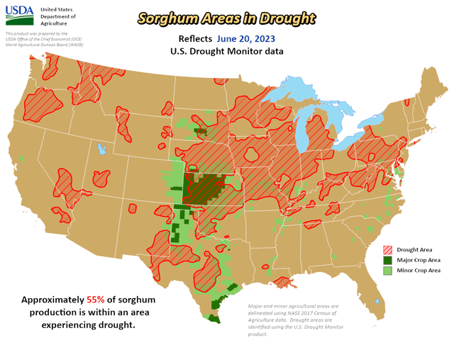 Rainfall in the western and southwestern Plains benefited sorghum areas in early summer but are still more than 50% in drought going into late June. (USDA/Drought Monitor graphic)