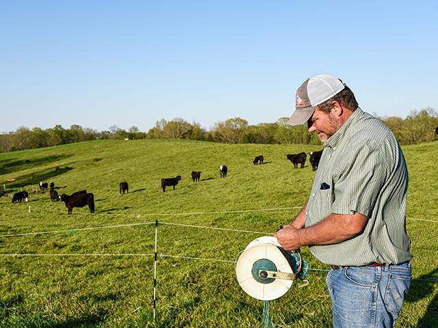 Virginia cattle producer Roy Boldridge uses electric Polywire and posts to rotate his herd over stockpiled forages. (DTN/Progressive Farmer file photo by Becky Mills)