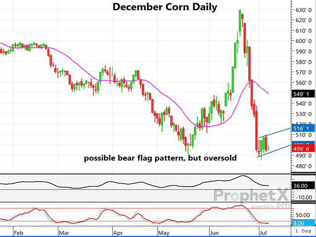 The chart above is a daily chart of December corn showing the market has fallen as much as $1.45 in the past 13 days but has now consolidated and traded sideways for the last five trading days. (DTN ProphetX chart by Dana Mantini)