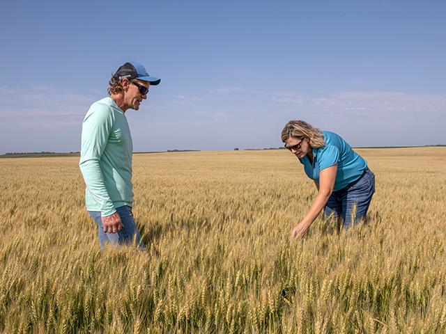 Mark Olson, a wheat grower who farms near Enderlin, North Dakota, visits with Anne Osborne of the National Wheat Foundation as she begins taking a yield estimate during Day 1 of the Wheat Quality Council&#039;s Spring Wheat and Durum Tour. (DTN photo by Jason Jenkins)