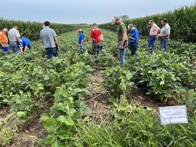 Attendees of the 2023 Multi-State Soybean Gall Midge Field Day near Mead, Nebraska, explore a plot for the pest. (DTN photo by Russ Quinn)