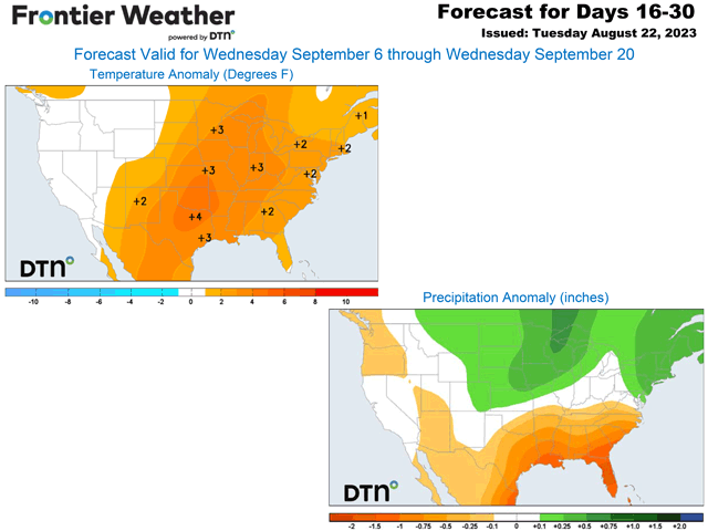 Heat is likely to return in September across the majority of the U.S. east of the Rockies. DTN forecasts above-normal rainfall across the northern Corn Belt, but confidence in that is lower. (DTN graphics)