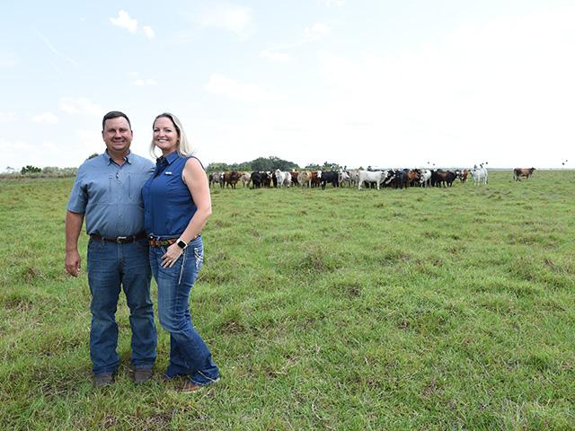 Alan and Wendy Kelley believe in the value of heterosis for their Florida beef herd. (DTN/Progressive Farmer file photo by Becky Mills)