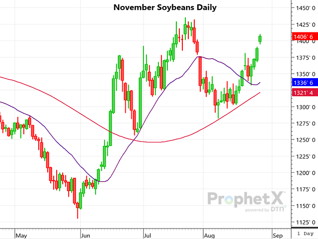This is a daily chart of new-crop November soybeans, which is certainly bullish, but may be approaching some solid resistance. (DTN ProphetX chart by Dana Mantini)