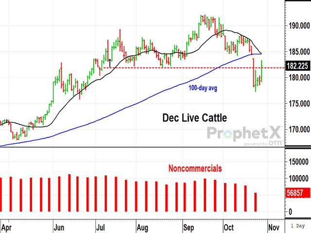A long-standing bull market in cattle was disrupted after USDA reported more placements than expected on Friday, Oct. 20. The following Monday, Oct. 23, saw a sharp drop in December futures prices as specs cut back net-long positions, but the cash market still looked bullish. (DTN ProphetX chart by Todd Hultman)