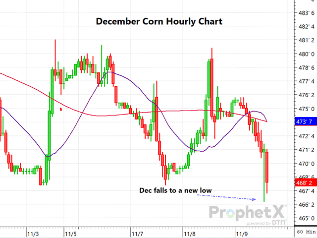 This hourly chart of December corn showed a sharp early reaction to the bearish corn and soybean data on Thursday&#039;s November WASDE report. Yield, production and ending stocks were all slightly bearish for corn and soybeans, with the wheat ending stocks increasing as well. Markets were under pressure even before the report release, but the losses in corn and soy futures increased as the day wore on. (DTN ProphetX chart by Dana Mantini)