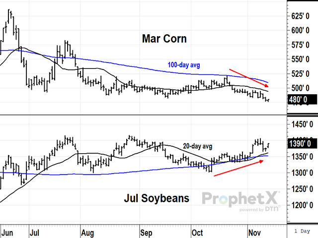 The March corn contract touched new lows following November's WASDE report, while soybeans moved higher despite more stocks. The divergence highlights how the market's focus has shifted to South America. (DTN ProphetX chart)