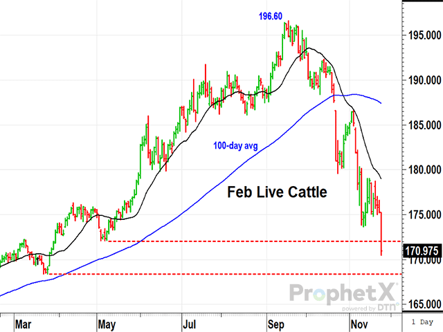 Following three markdowns since September, markets were surprised by an unexpected Black Friday sale in cattle that took prices down 13% from the September high of $196.60. (DTN ProphetX chart by Todd Hultman)