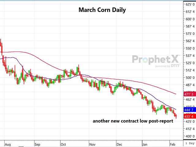 The daily March corn chart set another new contract low after the February WASDE report showed slightly bearish changes to the U.S. balance sheet and a Brazil production number that is still far above other estimates. (DTN ProphetX chart)