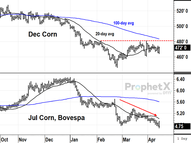 The new safrinha corn crop has had consistent rains since being planted but the forecast for central Brazil is looking drier this week, starting to transition to its dry season. Neither December corn in the U.S. nor July corn on Brazil's Bovespa exchange show signs of crop concerns yet (DTN ProphetX chart).