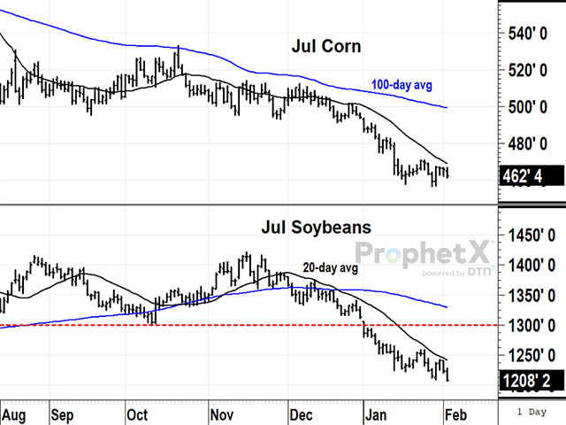 As of Jan. 30, commercials are holding their largest net-long positions in corn and soybeans on record. But, so far, both July prices are under bearish pressure, not showing any sign of support yet (DTN ProphetX chart).