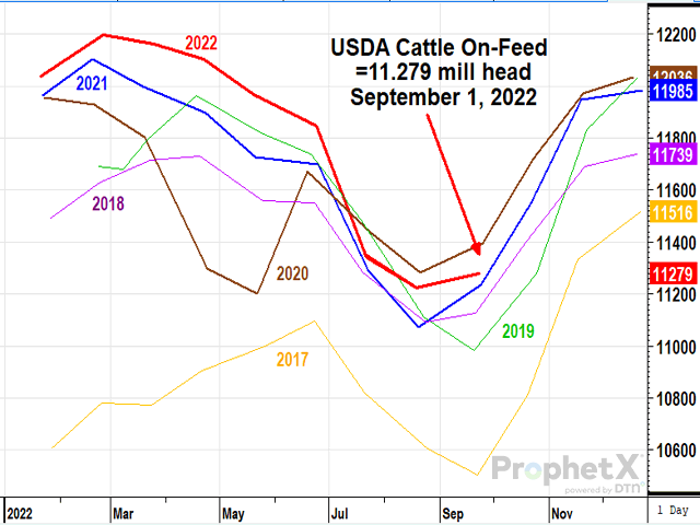 Cattle and calves on feed for the slaughter market in the U.S. for feedlots with a capacity of 1,000 or more head totaled 11.3 million head on Sept. 1, 2022, the second-highest Sept. 1 inventory since the series began in 1996. (DTN ProphetX chart)
