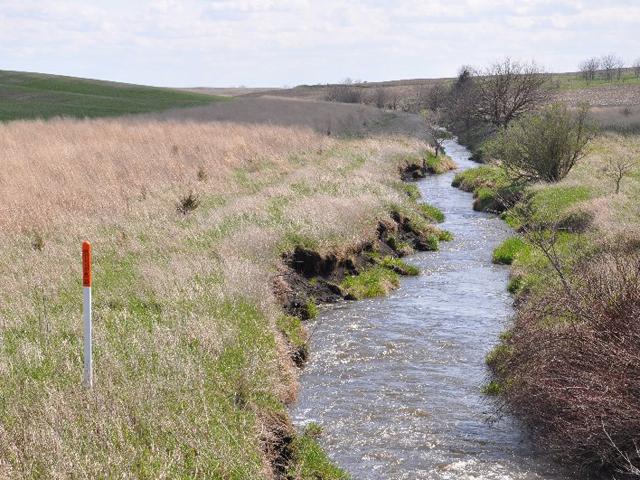 A buffer strip on an Iowa farm meant to help reduce nutrient runoff. USDA on Monday boosted funding for USDA conservation programs, especially for projects that reduce greenhouse emissions from farms or sequester carbon in the soil. USDA also separately released money with the Department of Interior to protect water resources in western states. (DTN file photo by Chris Clayton) 